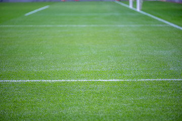 Green grass soccer field	