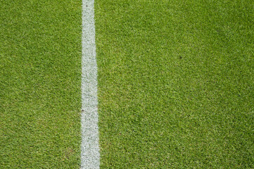 Fototapeta premium White line on the grass at soccer playing field