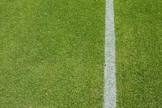 White line on the grass at soccer playing field