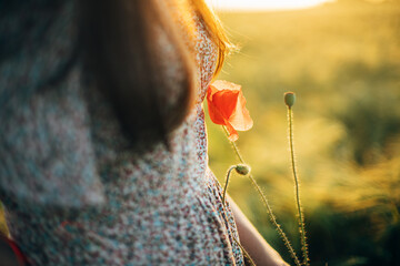 Beautiful poppy flower at woman in floral dress close up in barley field in sunset light. Stylish...