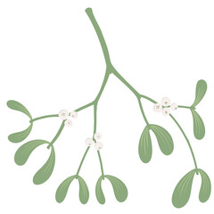 Branch of a mistletoe illustration. Christmas element.