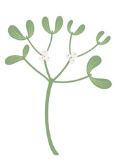 Branch of a mistletoe illustration. Christmas element.