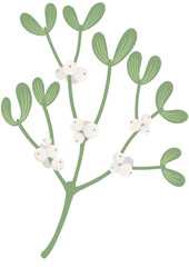 Branch of a mistletoe illustration. Christmas element.