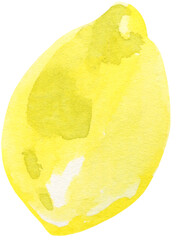 Watercolor Lemon Fruit, Vintage Nature Isolated PNG