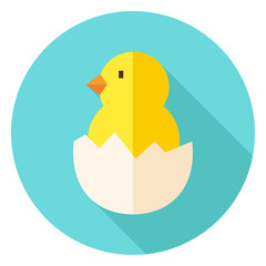 Hatched Chick in Eggshell Circle Icon. Flat Design Vector Illustration with Long Shadow. Animal Bird Symbol.