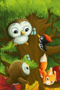 cartoon animals tree owl woodpecker squirrel illustration © honeyflavour