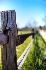 Fototapeta premium Wooden Fence 