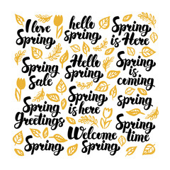 Hello Spring Handwritten Lettering. Vector Illustration of Nature Calligraphy over White.