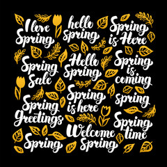 Hello Spring Calligraphy Design. Vector Illustration of Nature Calligraphy over Black.