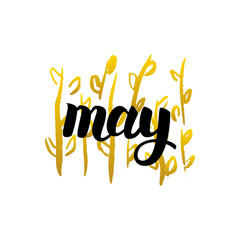 May Handwritten Lettering. Vector Illustration of Calligraphy and Nature Plants Design Element.