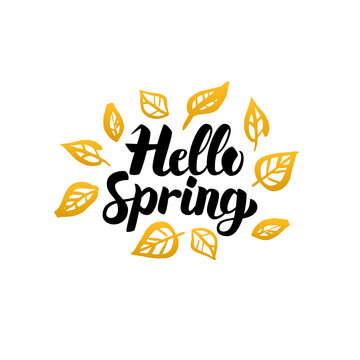 Hello Spring Gold Greeting Card. Vector Illustration of Nature Leaf Lettering with Golden Doodles.