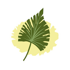 decorative green plant leaf on yellow background leaf isolated on white