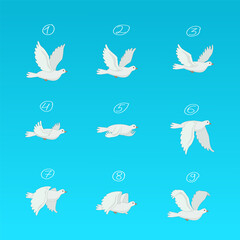 Pigeon animation. Bird animation, nine key frames. Pigeons isolated on blue background. Vector illustration.
