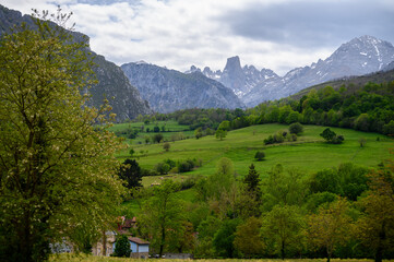 Fototapeta premium View on Naranjo de Bulnes or Picu Urriellu, limestone peak dating from Paleozoic Era, located in Macizo Central region of Picos de Europa, mountain range in Asturias, Spain