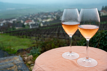 Tasting of premier cru sparkling rose wine with bubbles champagne outdoor with view on hilly pinot...