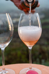 Tasting of premier cru sparkling rose wine with bubbles champagne outdoor with view on hilly pinot meunier vineyards in Hautvillers in February, near Epernay, France.
