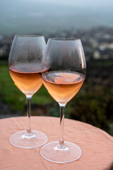 Tasting of premier cru sparkling rose wine with bubbles champagne outdoor with view on hilly pinot meunier vineyards in Hautvillers in February, near Epernay, France.