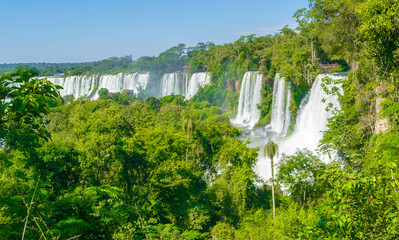 Iguazu Falls seen from the Argentina National Park, Waterfall in the forest