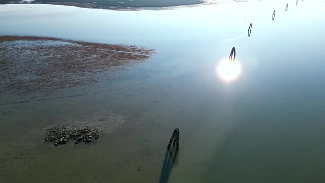 Flying around a wooden post, over the Venetian lagoon 
