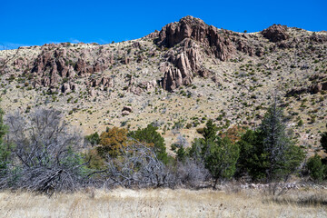 Green trees near in mountain in the Arizona desert