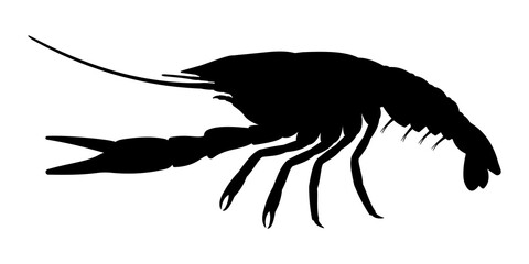 Crayfish silhouette.