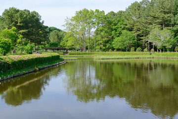 Fototapeta na wymiar 公園の池