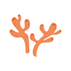 different colors of coral reef