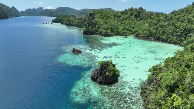 Healthy fringing coral reefs grow around the dramatic limestone islands that rise from Raja Ampat's seascape. This remote part of Indonesia is known for its incredibly high marine biodiversity.