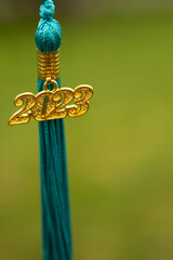 a gold and teal tassel with a green background