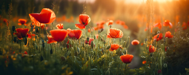 Obraz premium Remembrance Day Poppies, Remembering the Sacrifices: The Symbolism of Wild Poppies on Remembrance Day and Flanders Field. Generative Ai. 