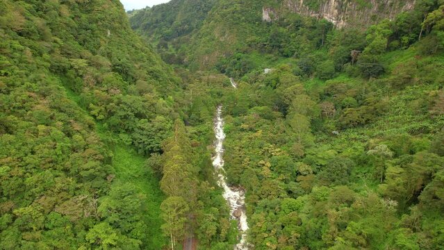 AERIAL: Scenic narrow valley with lush jungle and rapid flowing Caldera River. Picturesque wilderness of Panamanian highlands. Wild river winding through mountainous nature overgrown with rainforest.