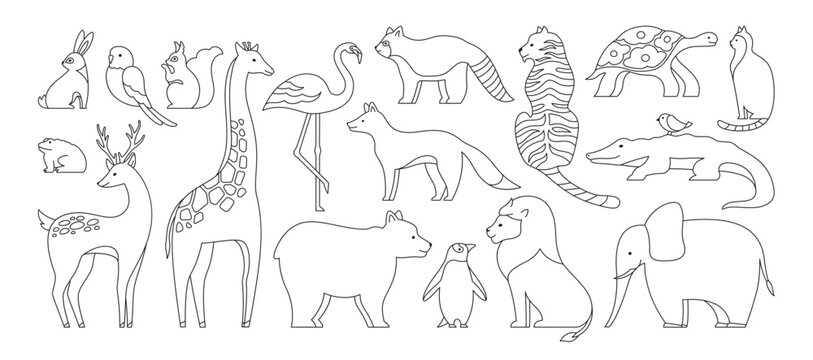 Animal cute doodle linear set. Hare and parrot, squirrel, frog, giraffe. Panda and bear penguin. Mammals animals characters for baby card. Deer cat turtle fox lion tiger outline design collection