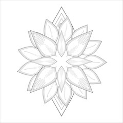 Decorative Abstract Flowers in Black for adult colouring page Isolated on White Background.-vector