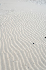 waves formed in the now dry sand from when the high tide floods the coastal shoals and creates these natural patterns