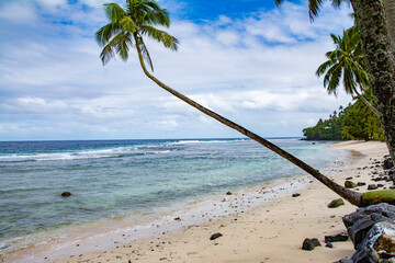 Palm tree, ocean, waves and beach in American Samoa