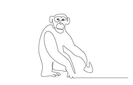 recommend clip art: monkey animal looking wildlife line art