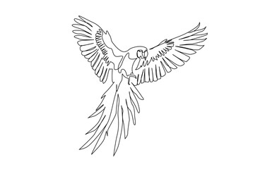 bird animal parrot flying wings line art