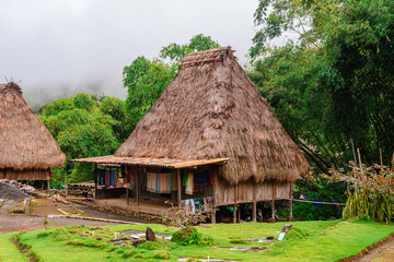 Fototapeta na wymiar traditional bena village in flores island, indonesia 