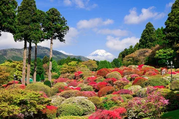 Gordijnen つつじ庭園と富士山 © tenjou