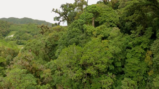 POV: Adrenaline-filled descent on zipline between high lush jungle canopies. Sport adventure activity for travellers in beautiful tropical rainforest near town of Boquete in Chiriqui Province, Panama.