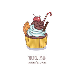 Hand Drawn multi color chocolate cupcake with orange slice, cherry and cinnamon in cartoon style isolated on white background