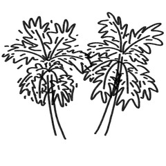 Twin Tree PNG