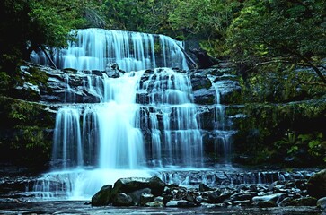Fototapeta premium Waterfalls of Tasmania, Australia, Primarily Liffey Falls