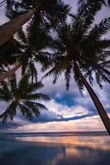Calm ocean and palm trees in sunset, at 