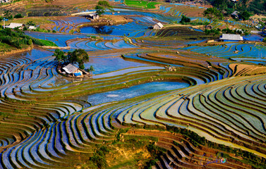 Naklejka premium Rice Terraces in Vietnam