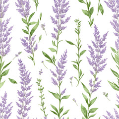 lavender herbs vintage watercolor illustration
