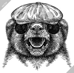 Vintage engraving isolated honey badger set glasses dressed fashion illustration ink costume sketch. Ratel background tropical animal silhouette sunglasses hipster hat art. Hand drawn vector image.
