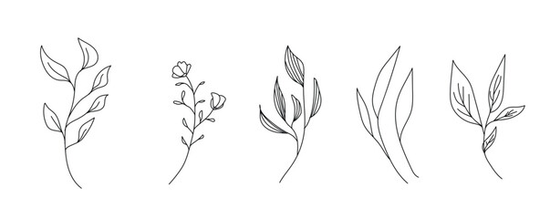Hand drawn thin floral botanical line art. Trendy minimal elements of wild and garden plants, branches, leaves, flowers, herbs. Vector illustration for logo or tattoo, invitation save the date card 