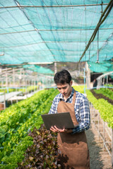 Asian young harvesting in organic farm with digital tablet..