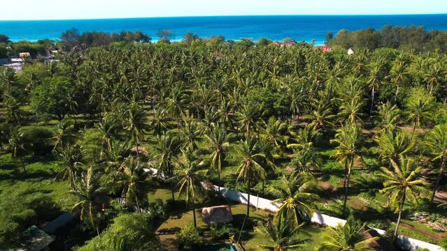 View of a balinese Villa in Gili Trawangan, Lombok, Indonesia